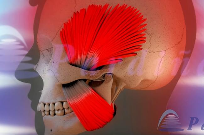 Do you have temporomandibular dysfunction? In our clinic in A Coruña we offer physiotherapy for the treatment of TMJ problems. More information here.